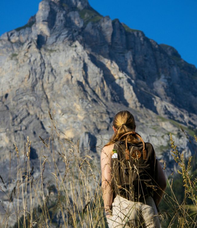 bryan-dijkhuizen-AhQOXKQ43-M-unsplash bryan-dijkhuizen-AhQOXKQ43-M-unsplash